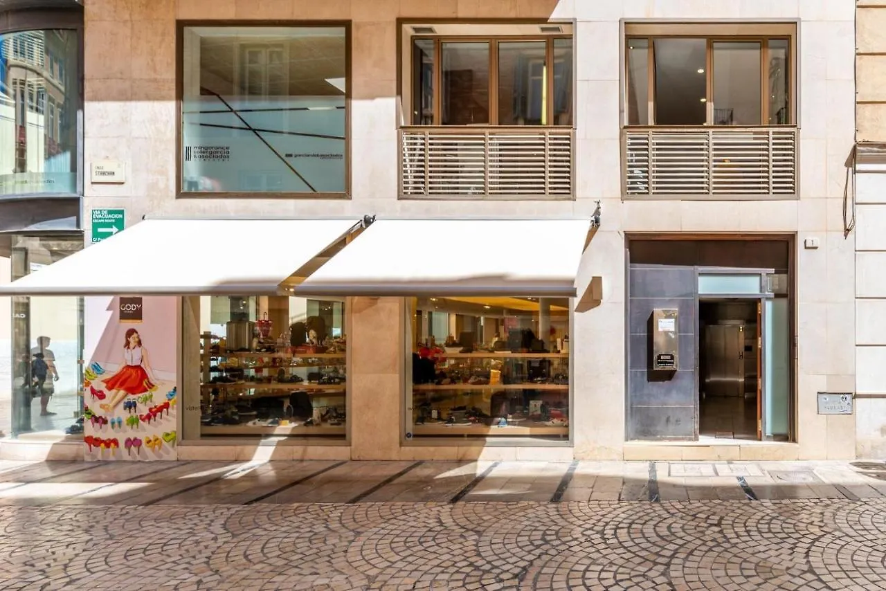Apartamento Gran Terraza Con Vistas A Calle Larios Málaga