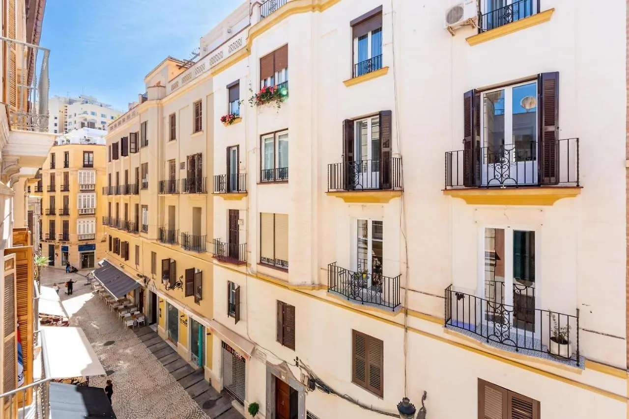 Apartament Gran Terraza Con Vistas A Calle Larios Malaga